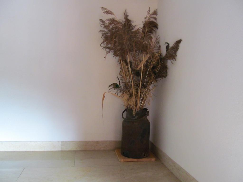 Appartement Weingut Schoberhof Bad Gleichenberg Quarto foto