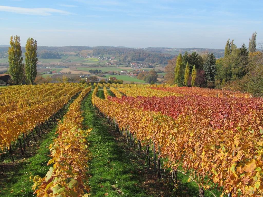 Appartement Weingut Schoberhof Bad Gleichenberg Quarto foto